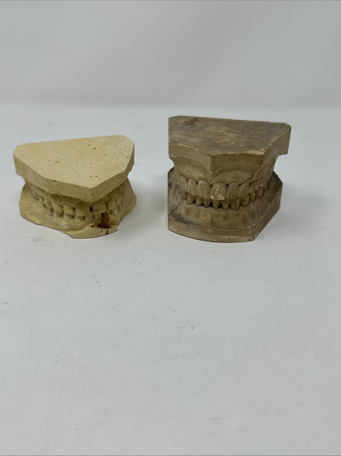 Pair Of  Vintage Plaster Dentist Dental Cast Tooth Teeth Mold Oddities
