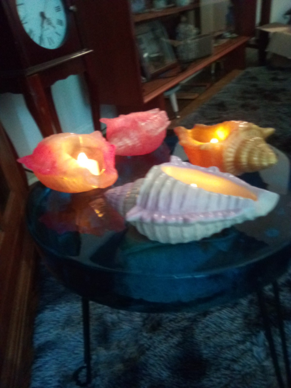 Elegant Lighted Conch Shells
