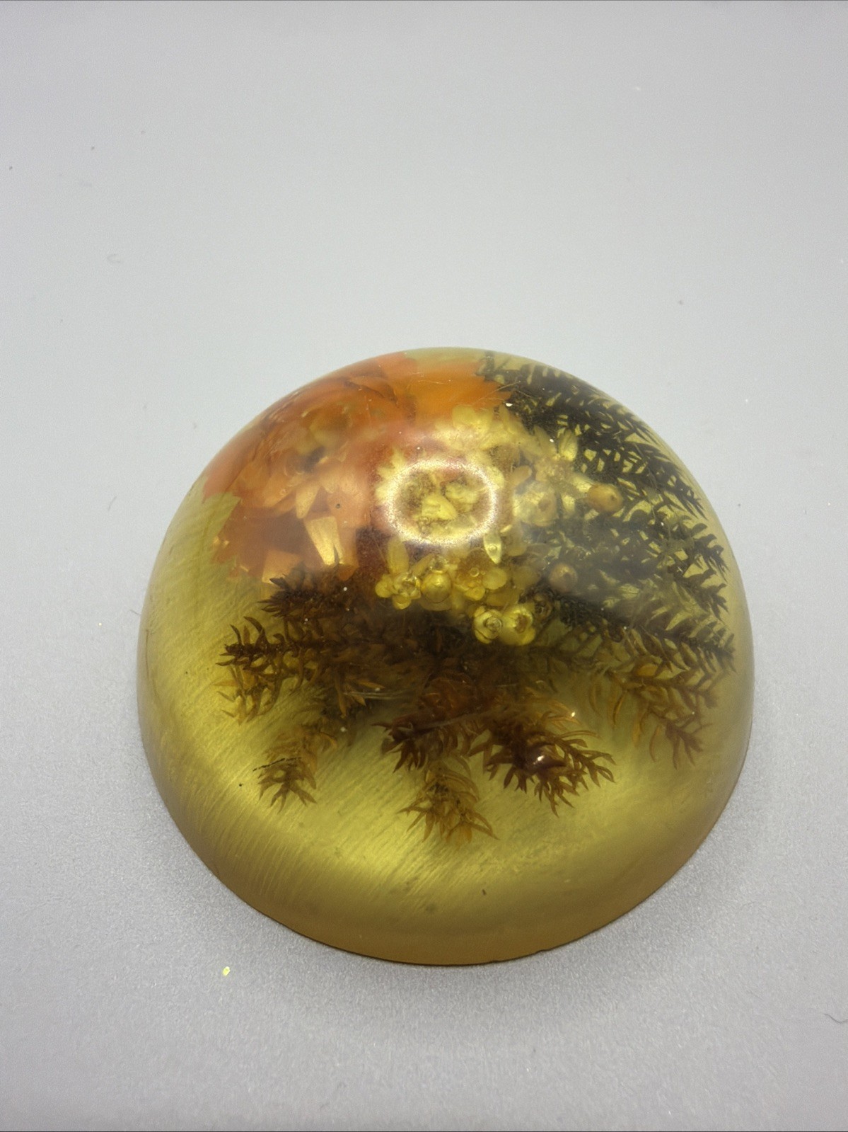 Vintage 1970’s Dried  Flowers Resin Dome Paperweight