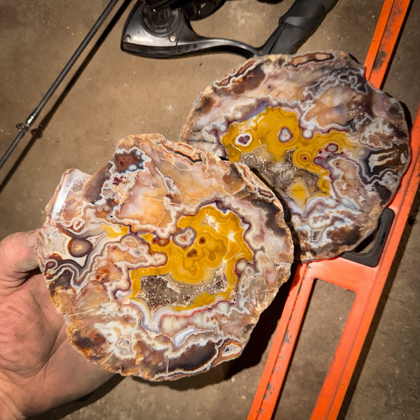 XL Kentucky Agate Pair (2lbs 13oz) Mirror Polished Half+Slab | Old Stock Rare K1 XL Kentucky Agate Pair (2lbs 13oz) Mirror Polished Half+Slab | Old Stock Rare K1