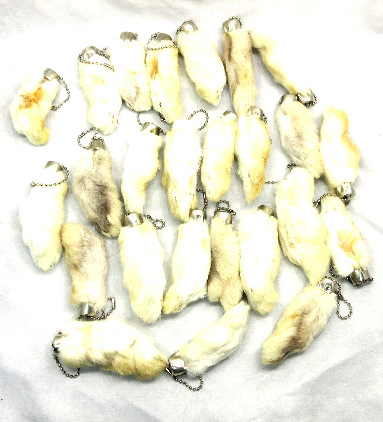 Wholesale Lot Of 25 Lucky Natural Rabbits Foot, Rabbit Feet Keychains, RF#3 Wholesale Lot Of 25 Lucky Natural Rabbits Foot, Rabbit Feet Keychains, RF#3