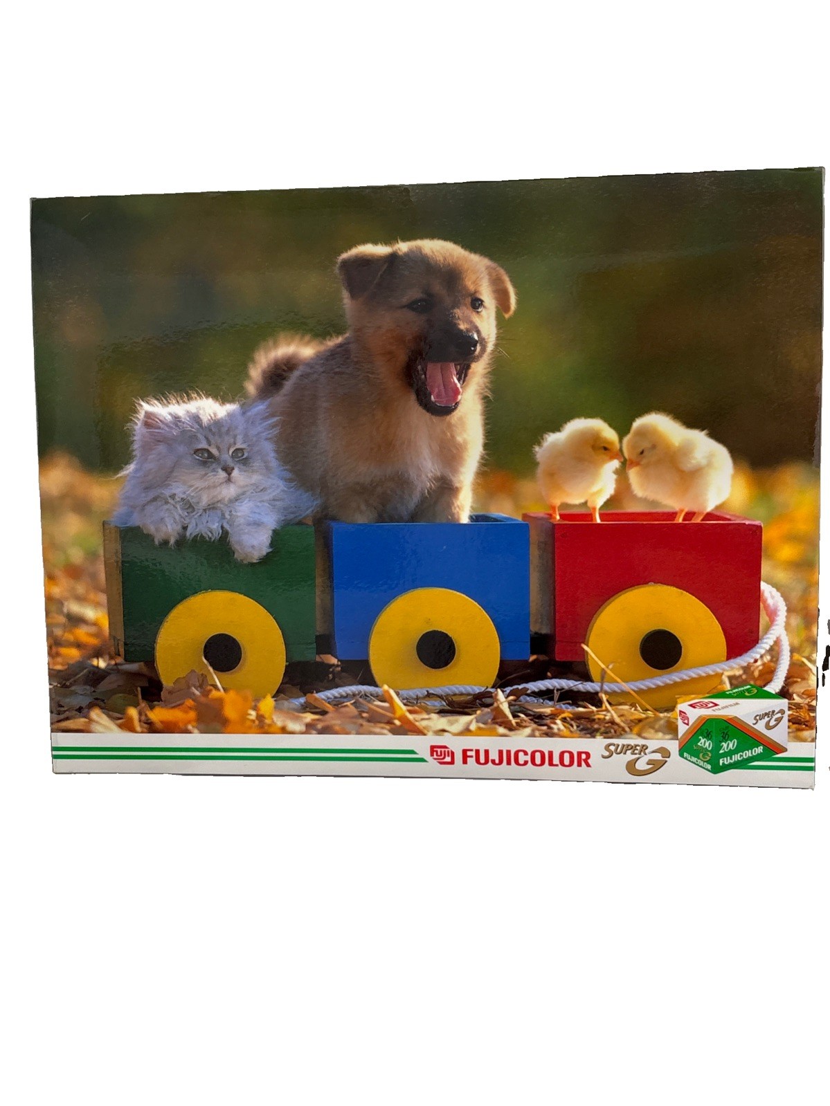 Vintage Fuji Film Super Cardboard Store Counter Display Sign 18.5x14.25 Animals