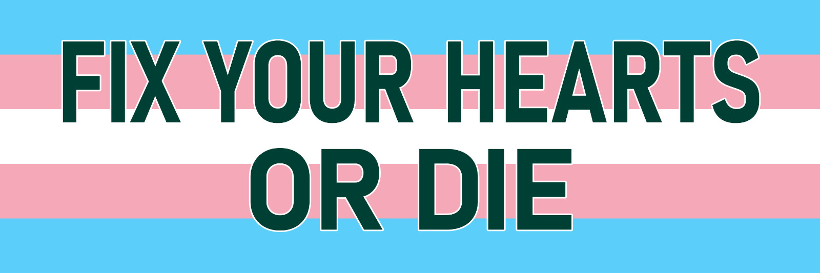 Fix Your Hearts or Die Sticker 3x9 Trans Slogan Motto Transgender Flag Stickers