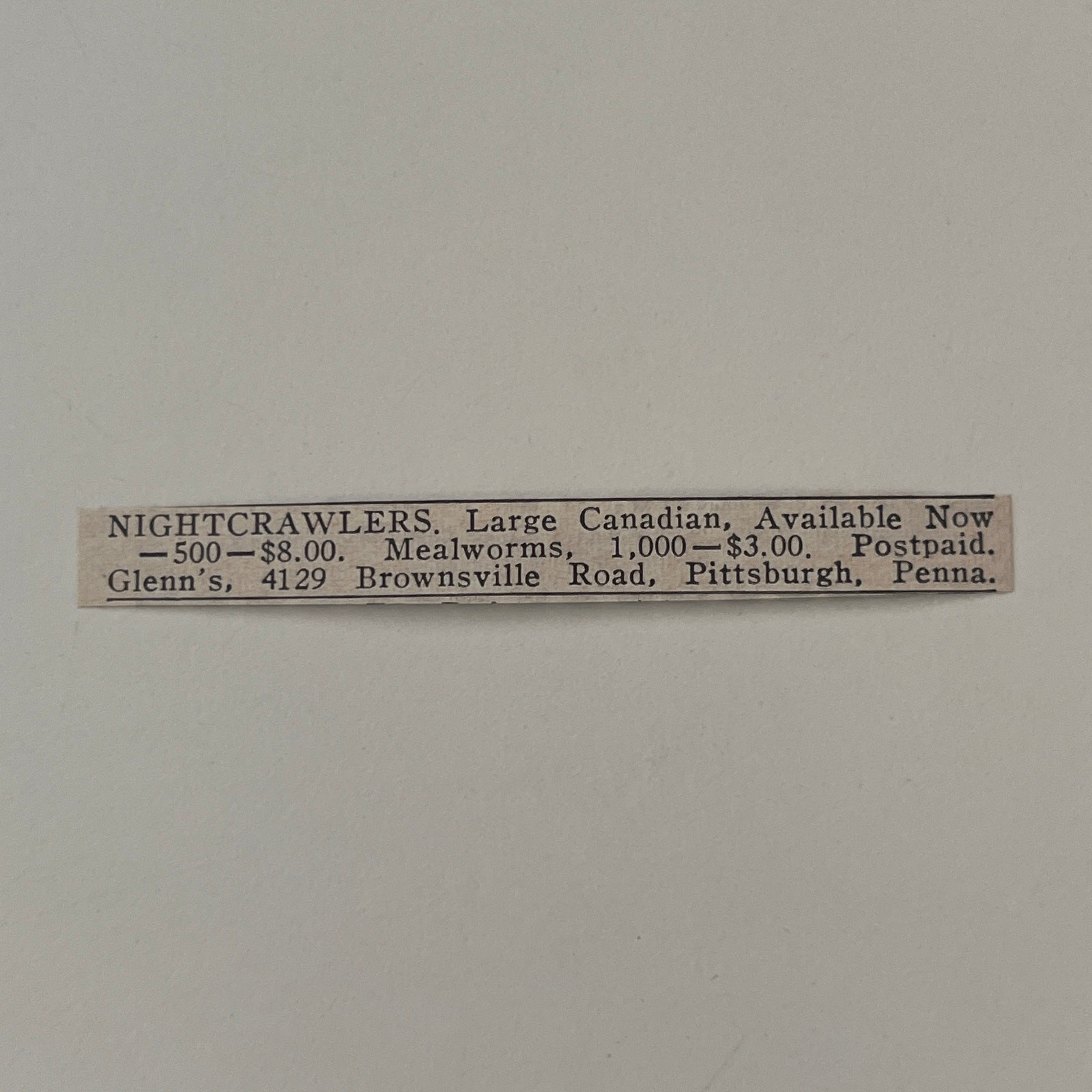 Glenn\'s Nightcrawlers Large Canadian Mealworms Pittsburgh PA 1966 Ad SAH8-S31
