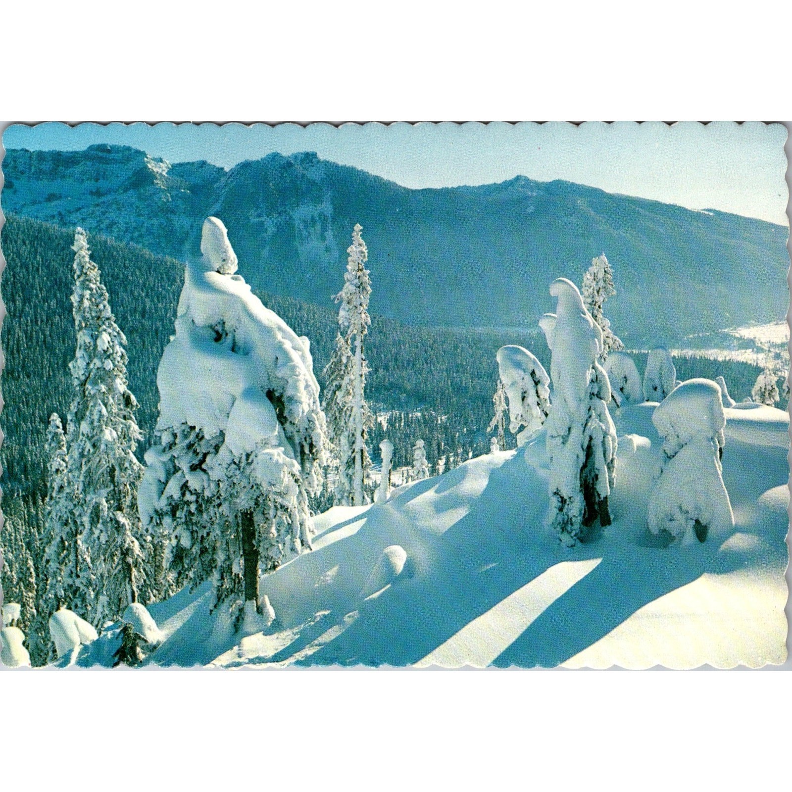 From The Top of The Chairlift Mountain Snoqualmie Summit Vintage Postcard SPP28