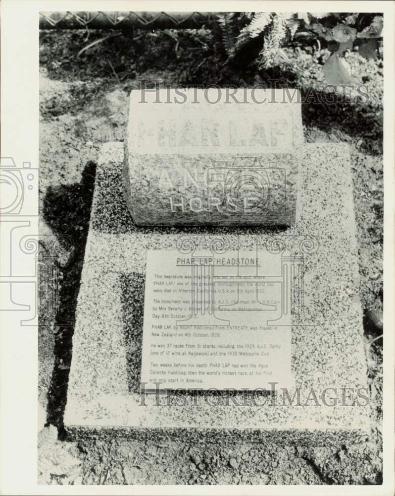 1985 Press Photo Racehorse Phar Lap\'s headstone - lra95693 1985 Press Photo Racehorse Phar Lap\'s headstone - lra95693