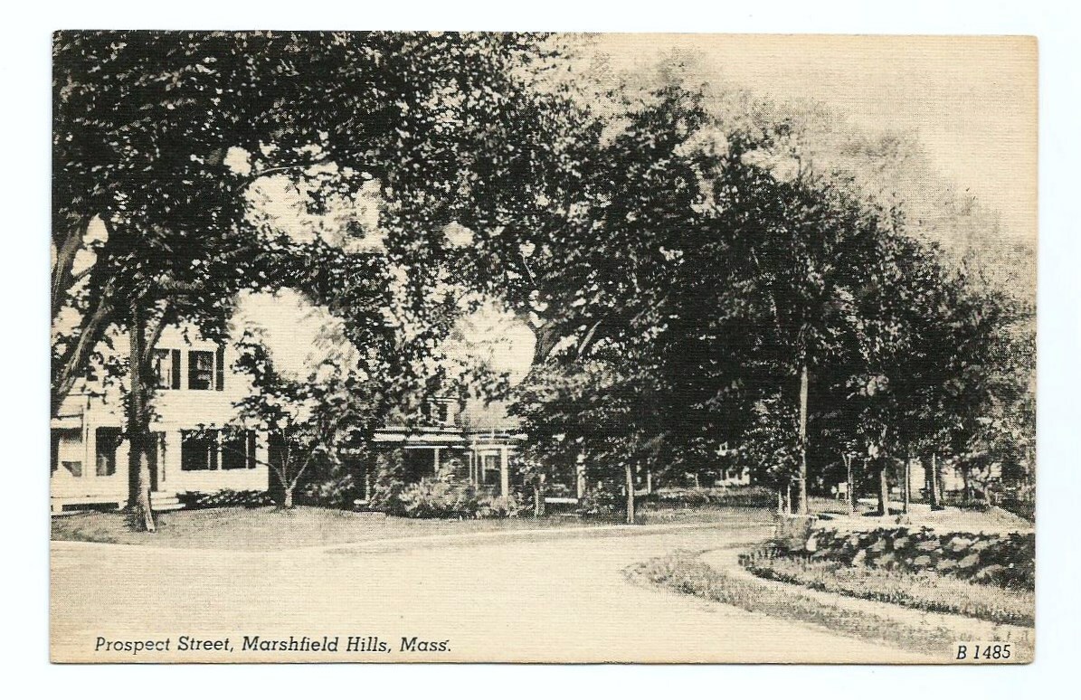 Marshfield Hills MA Postcard Massachusetts Prospect Street