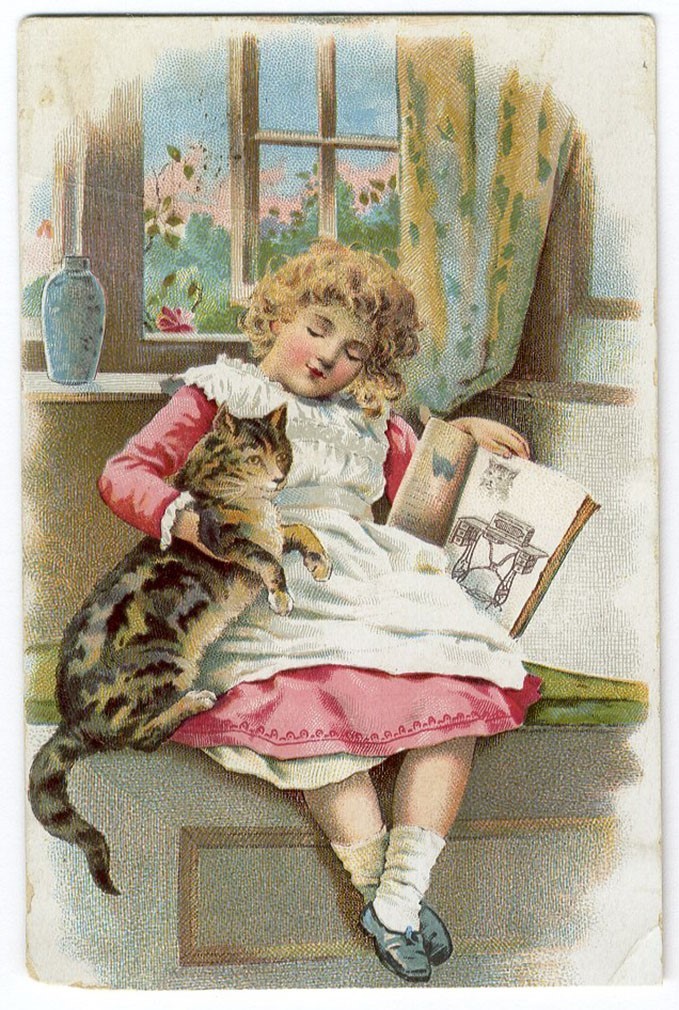 Pretty LITTLE GIRL with CAT in Lap VICTORIAN CARD 1880's 