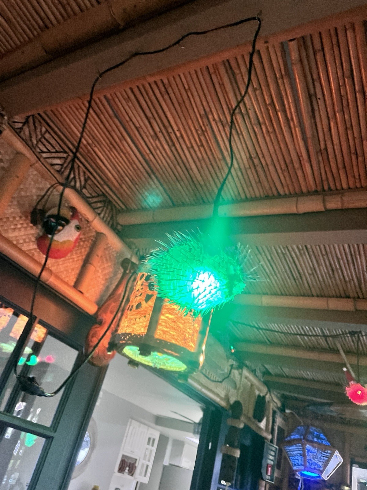 NEW 5”-6” Pufferfish Lamp w/Green  LED Tiki bar Smokin Tikis Oceanic