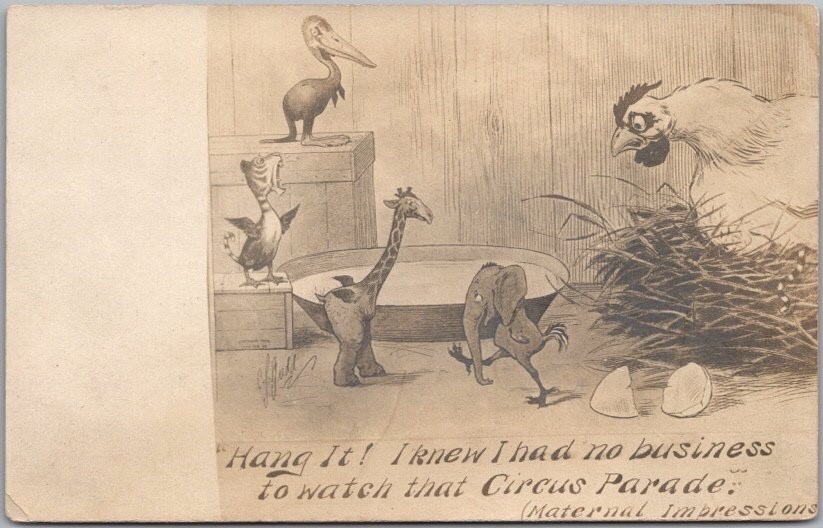 c1910s Risque Comic Real Photo RPPC Postcard / Bizarre Animal Combinations