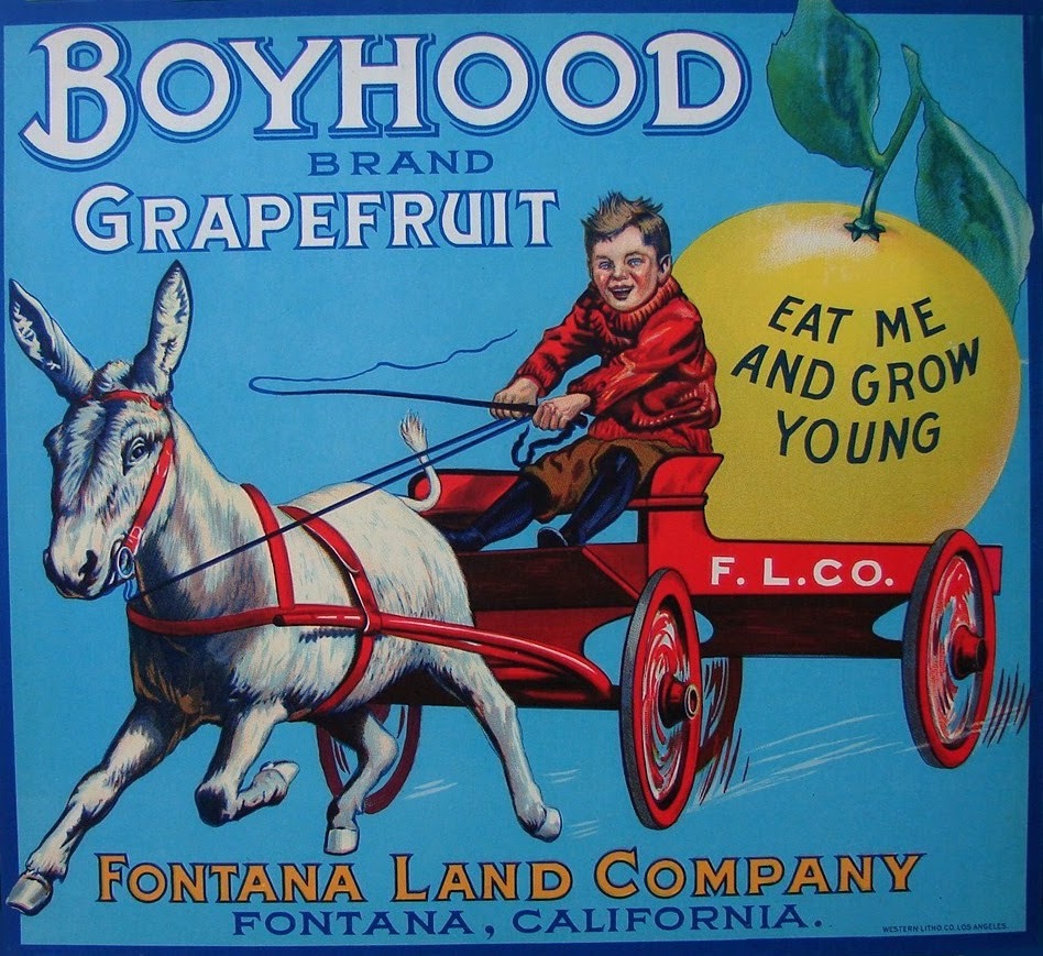  Fontana CA Boyhood Brand Grapefruit Citrus Fruit Crate Label Art Print  