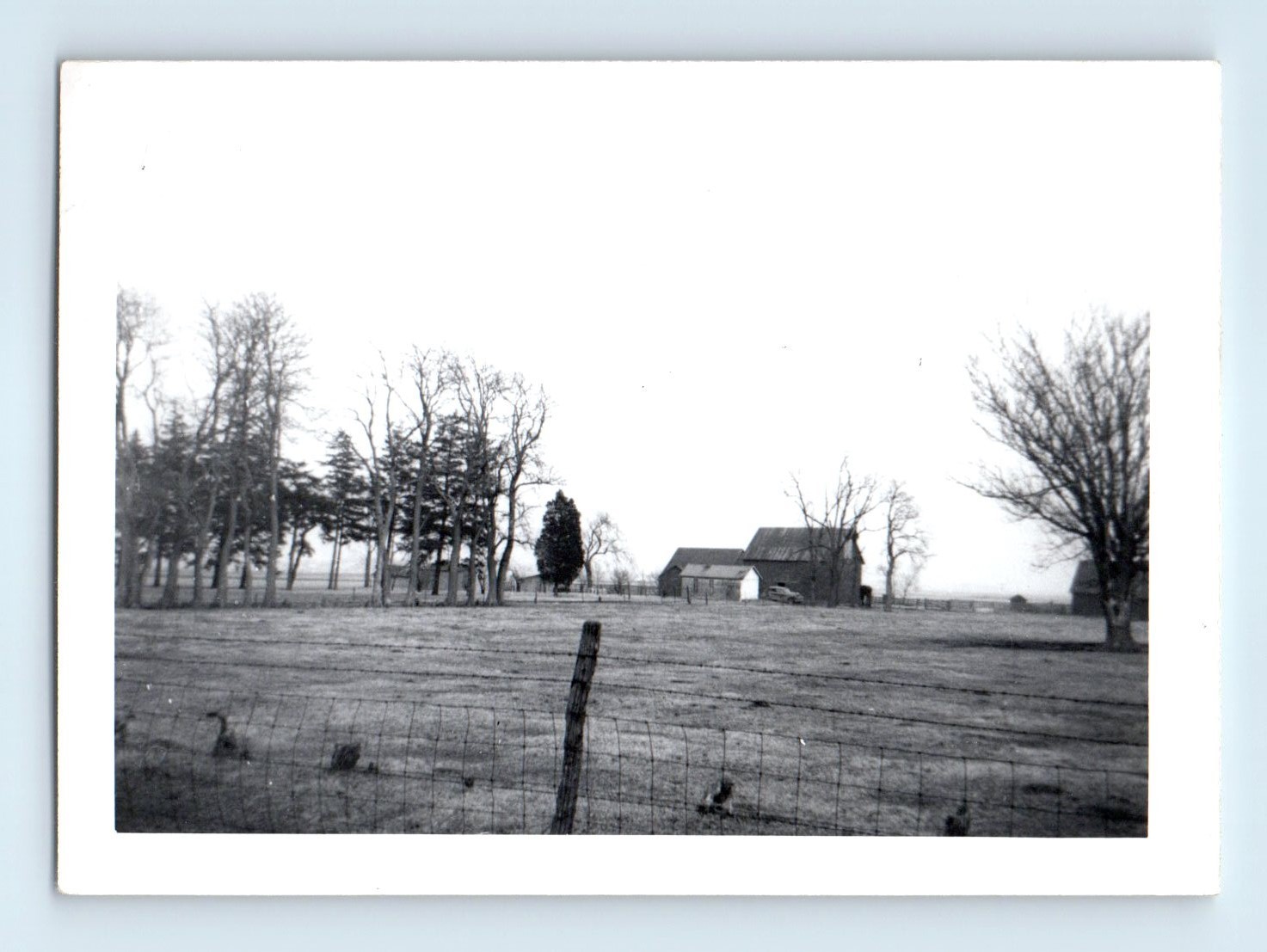 Old Vintage Photo RURAL COUNTRY SCENE FARM BARN FENCE FOUND SNAPSHOT PHOTOGRAPH