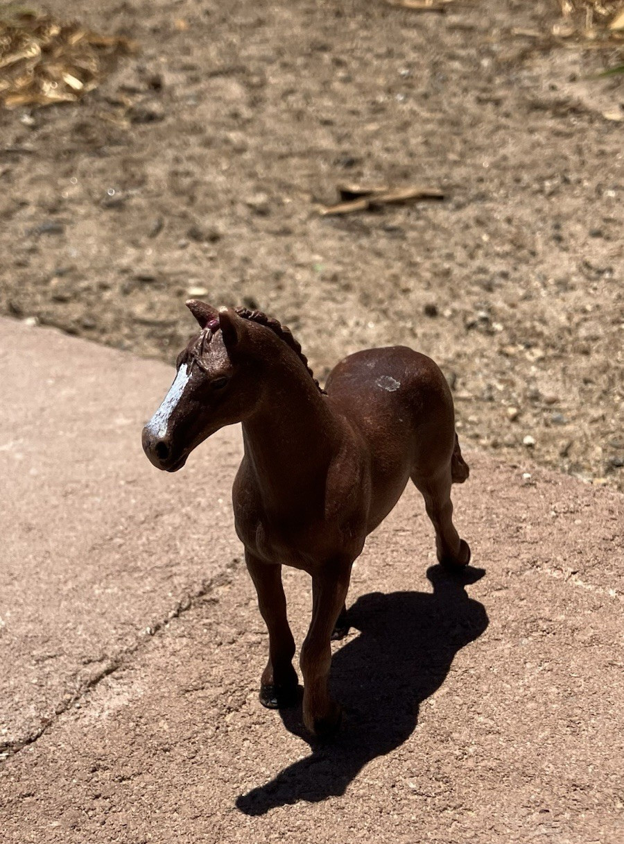 2016 Schleich Thoroughbred Horse AM LIMAS 59 5”x5” Solid D-73527
