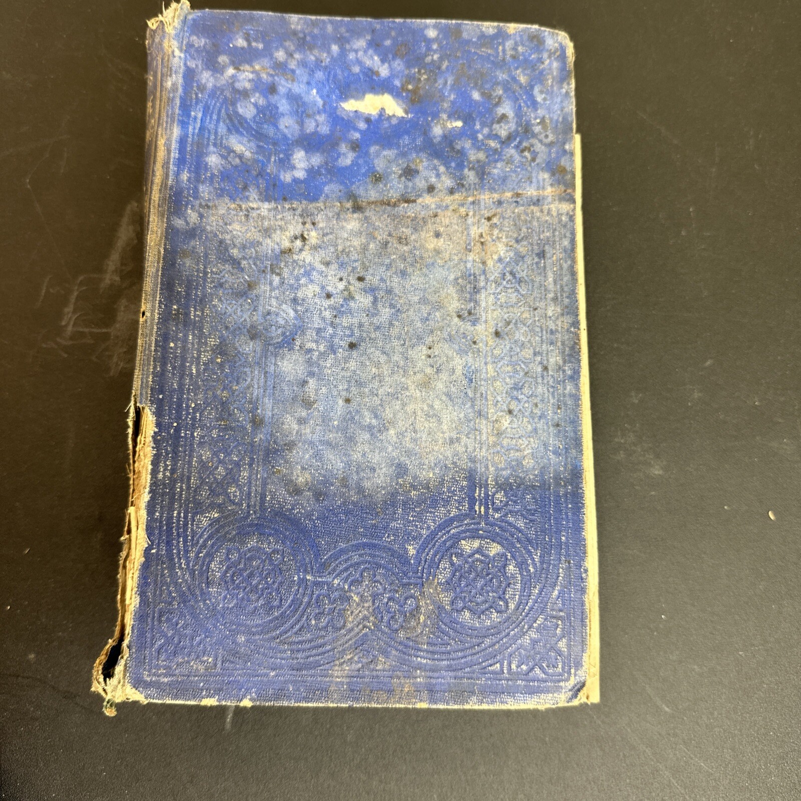 A Treatise on Landscape Gardening by A. J. Downing, NY 1859 Sixth Edition, 576 p A Treatise on Landscape Gardening by A. J. Downing, NY 1859 Sixth Edition, 576 p