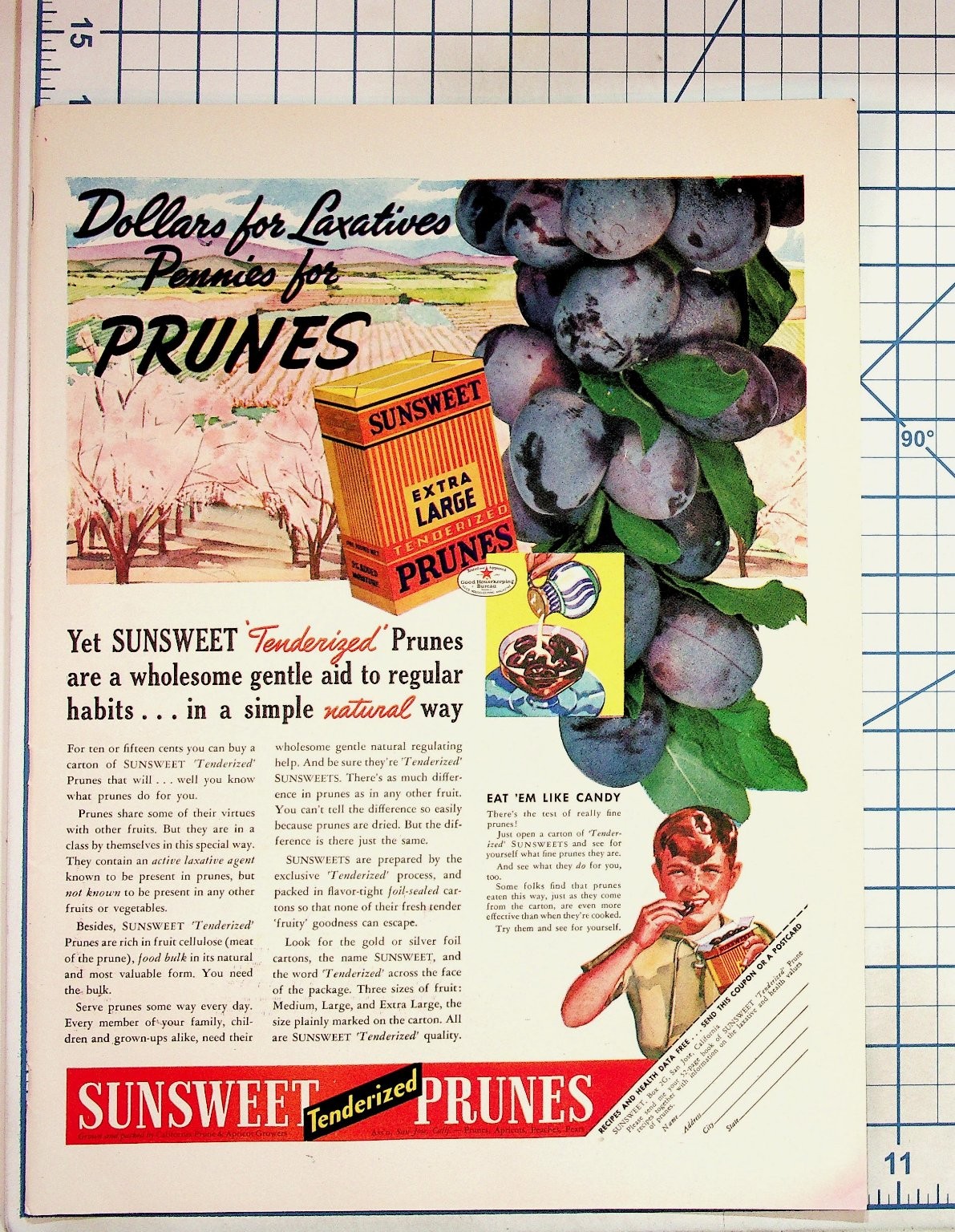 Vintage SUNSWEET Tenderized Prunes Magazine Ad 1930s Food Advertising Coupon Vintage SUNSWEET Tenderized Prunes Magazine Ad 1930s Food Advertising Coupon