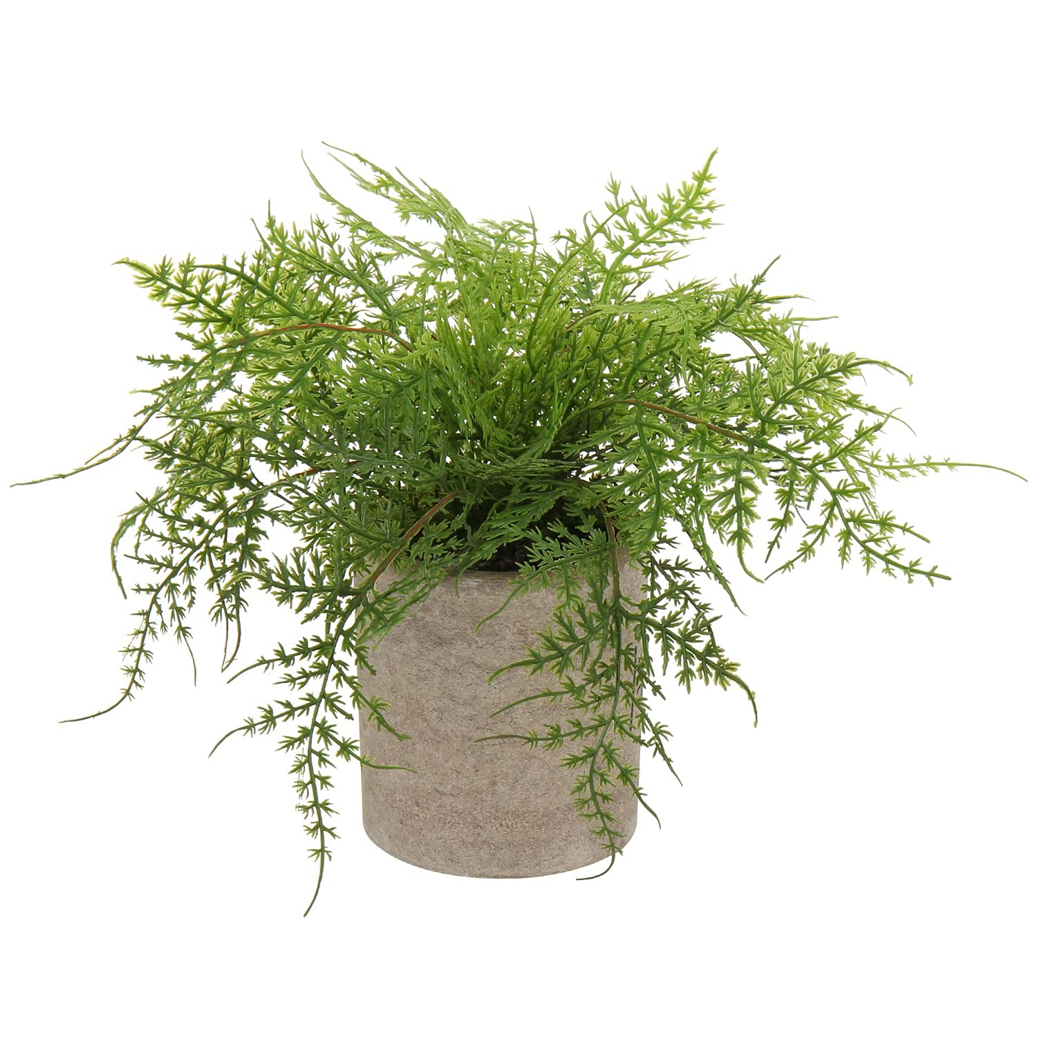 Briful Small Fake Plant Asparagus Ferns Plastic Faux in Pots Home Decor Briful Small Fake Plant Asparagus Ferns Plastic Faux in Pots Home Decor