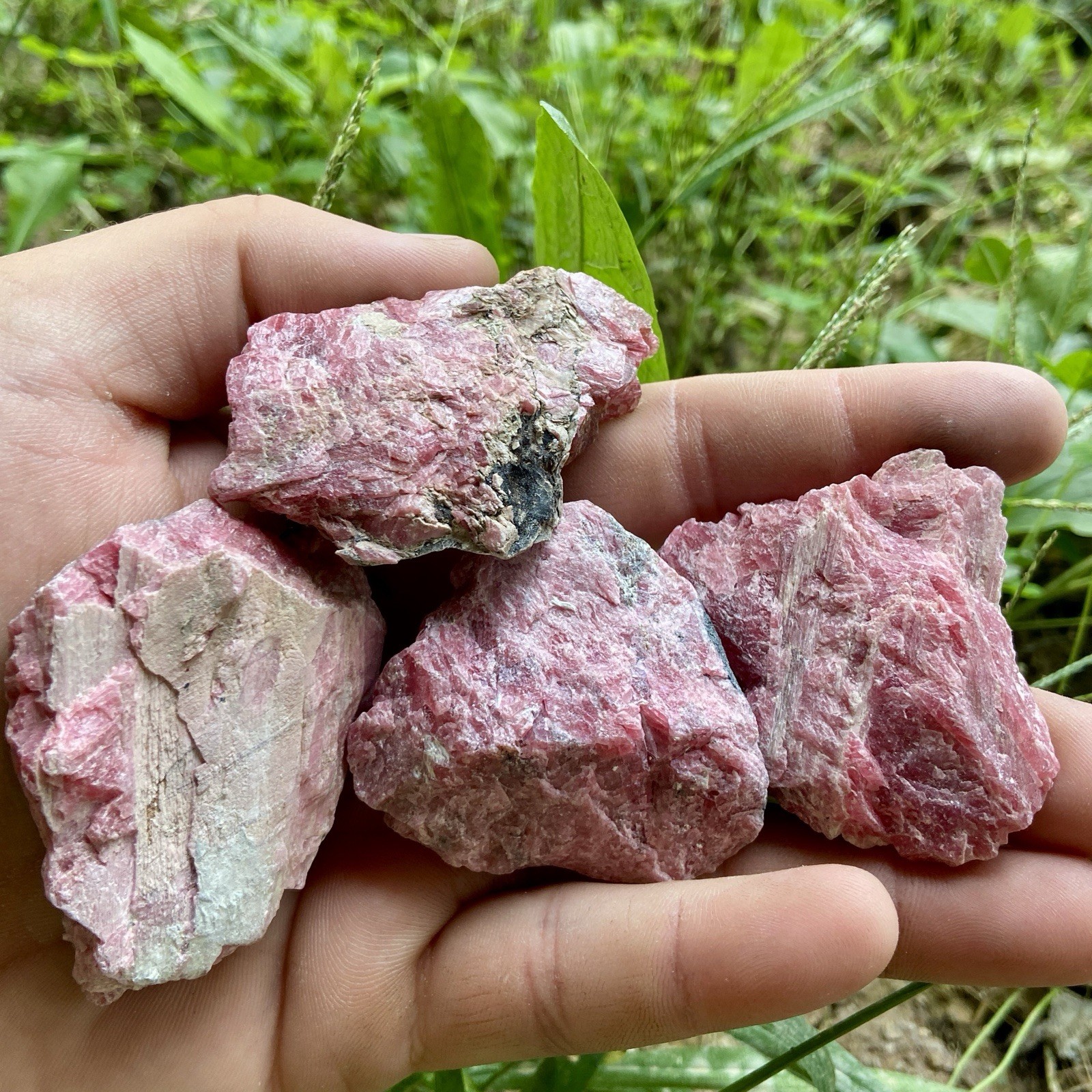 Raw Pink Gem Rhodonite 4 Pc Rough Lot Natural Lapidary Stones 9.44 Oz