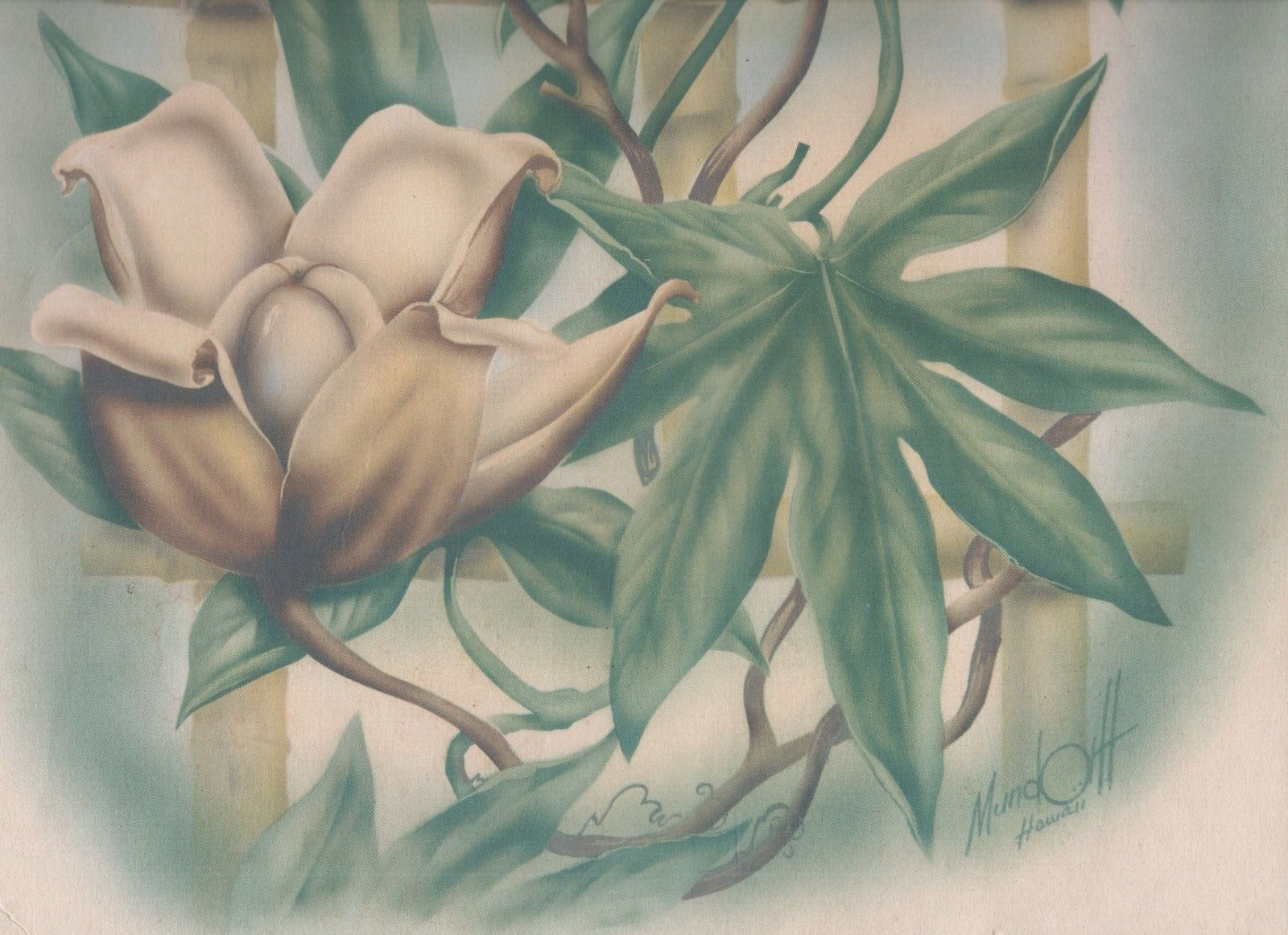 Beautiful Large Vintage Ted Mundorff Hawaiian Print of Flowers 12 x 16 inches Beautiful Large Vintage Ted Mundorff Hawaiian Print of Flowers 12 x 16 inches