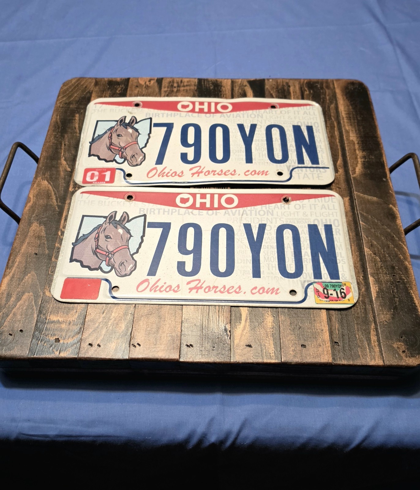 Rare Ohios Horses.com License Plates Matching Pair Ohio State Equine Buckeye 