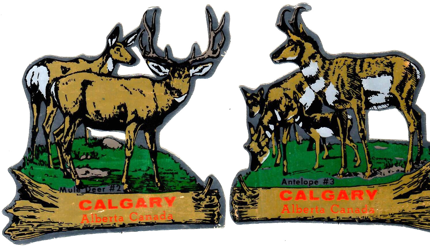 Calgary Alberta Canada Vintage Decals Mule Deer & Antelope