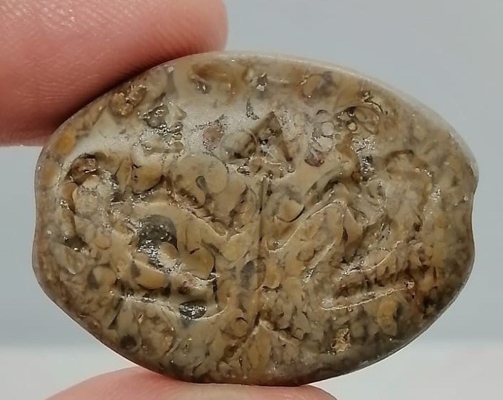 Ancient Fossil Stone Seal Pendant Twin Birds Symbol Intaglio Bead Amulet Roman