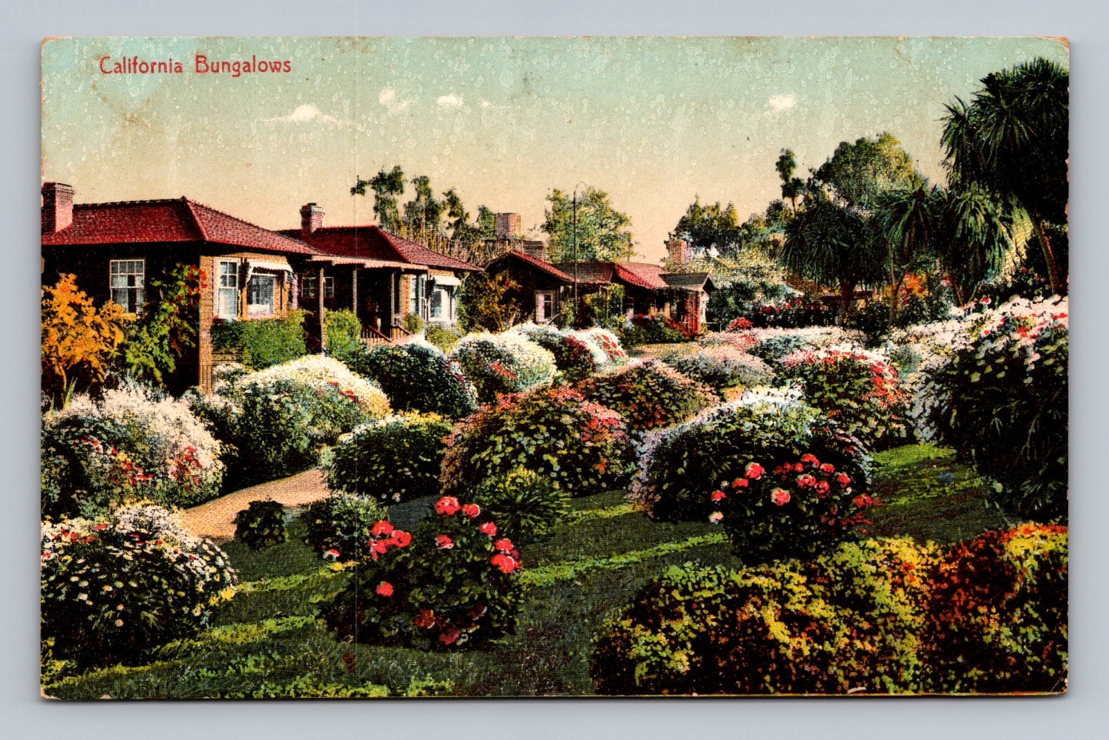 California Bungalows Residential Street Scene Flowers Architecture VTG Postcard