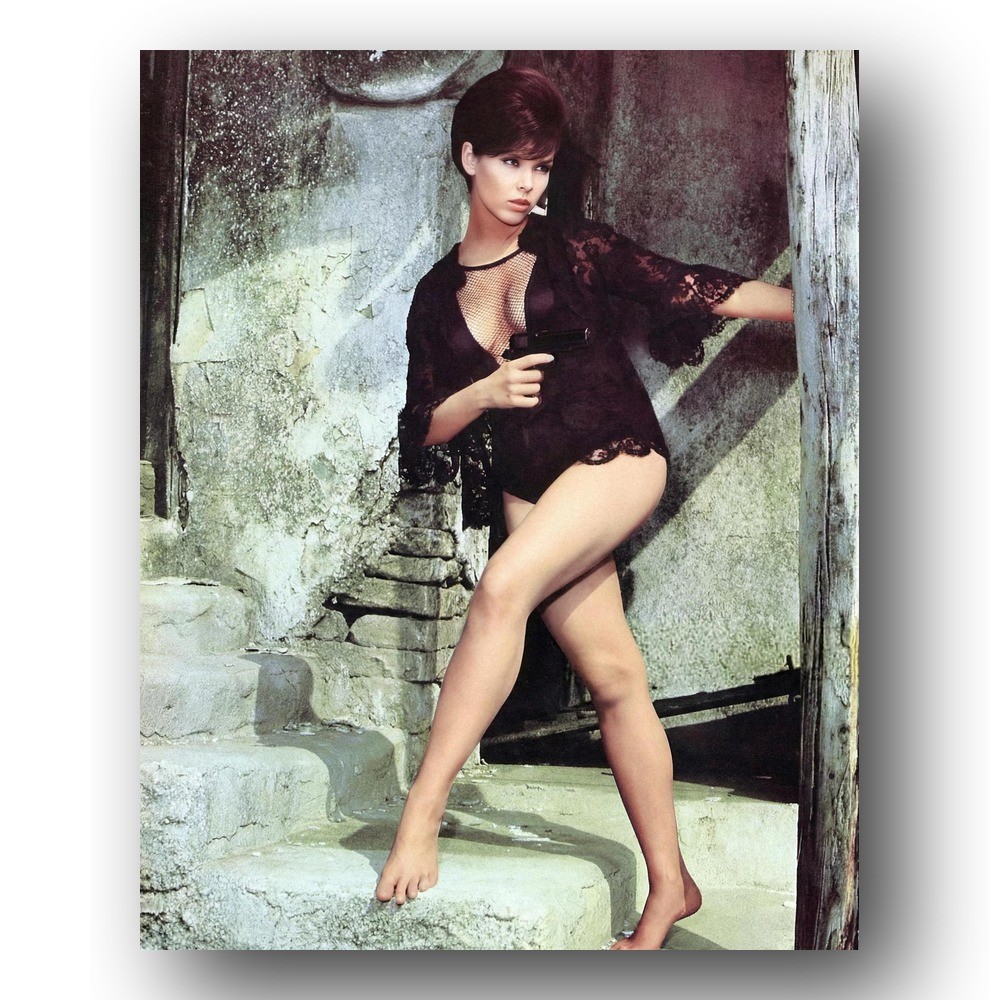 Yvonne Craig Photo 8x10 Batgirl Batman Surf's Up Joker's Under 1967 TV Show