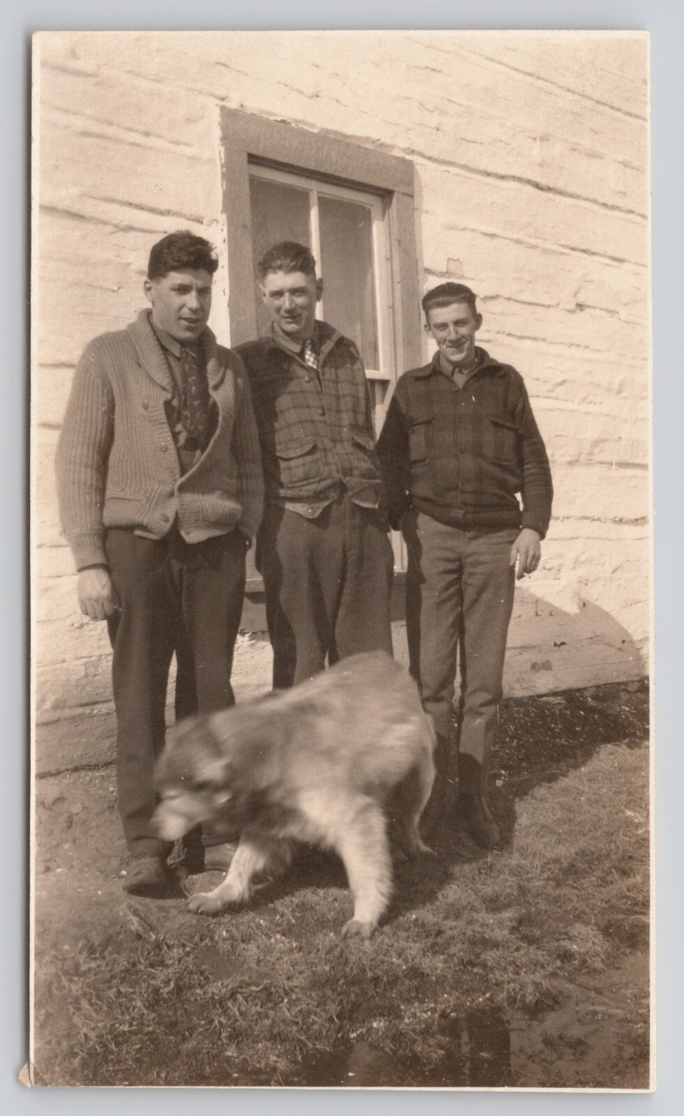 Vintage Photo Three Men in Sweaters with a Dog