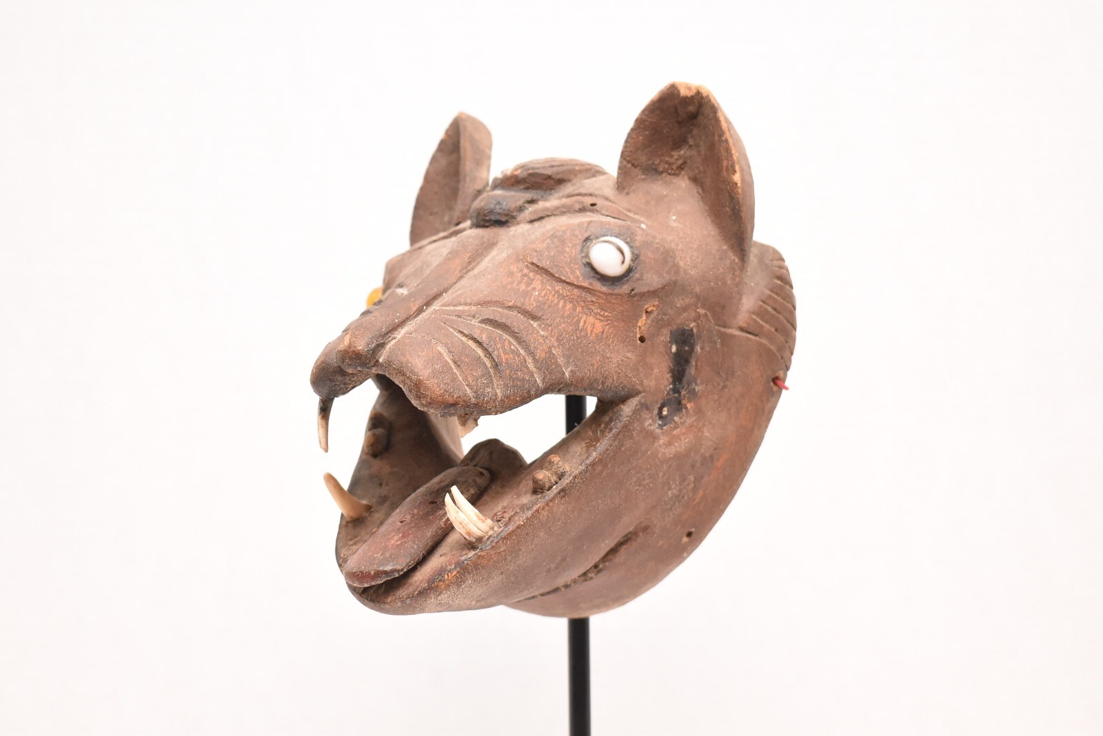 African Zoomorphic Chewa WOLD Dog Mask Carved Wood Face Inlaid Eyes Tribal