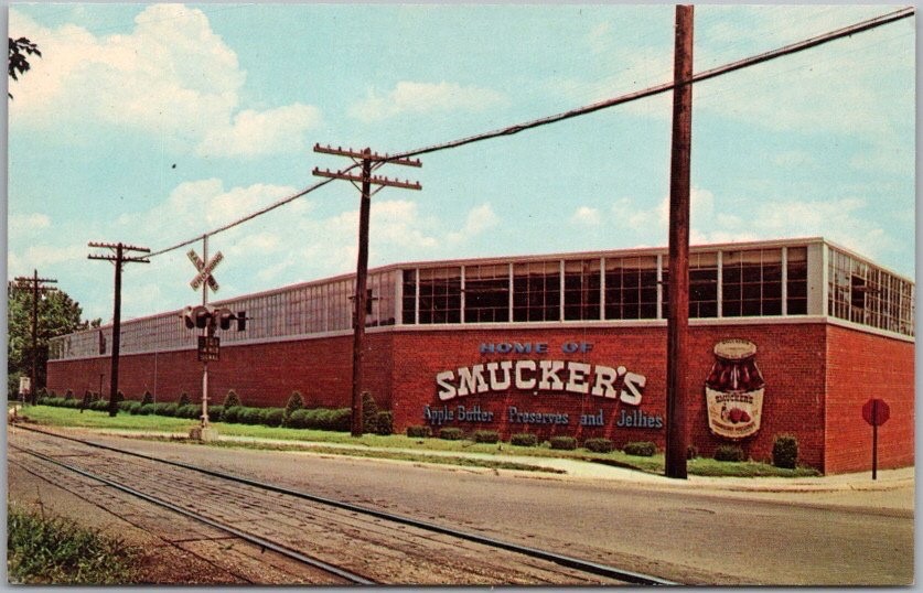 c1960s ORRVILLE, Ohio Postcard 