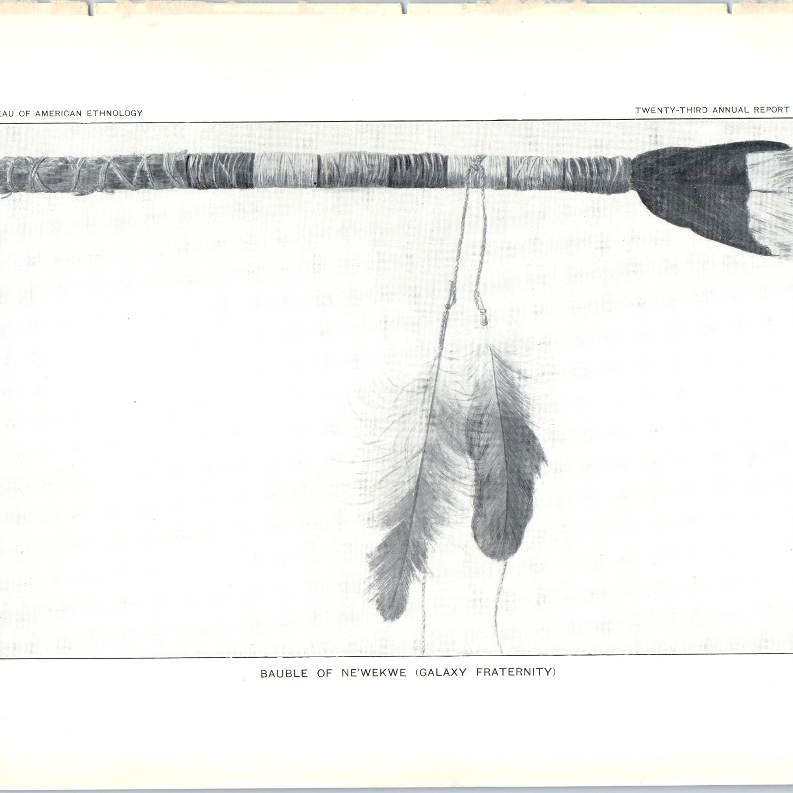 1904 Zuni Indian Ne'wekwe Bauble Plate Print NM Bureau of American Ethnology 1904 Zuni Indian Ne'wekwe Bauble Plate Print NM Bureau of American Ethnology