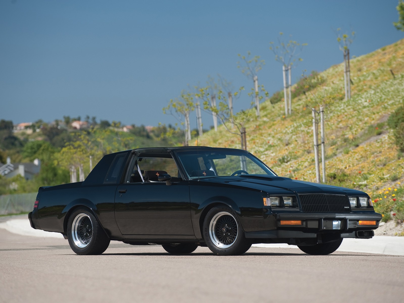 Cars 1987 buick regal grand national muscle Art Print Poster 11x17