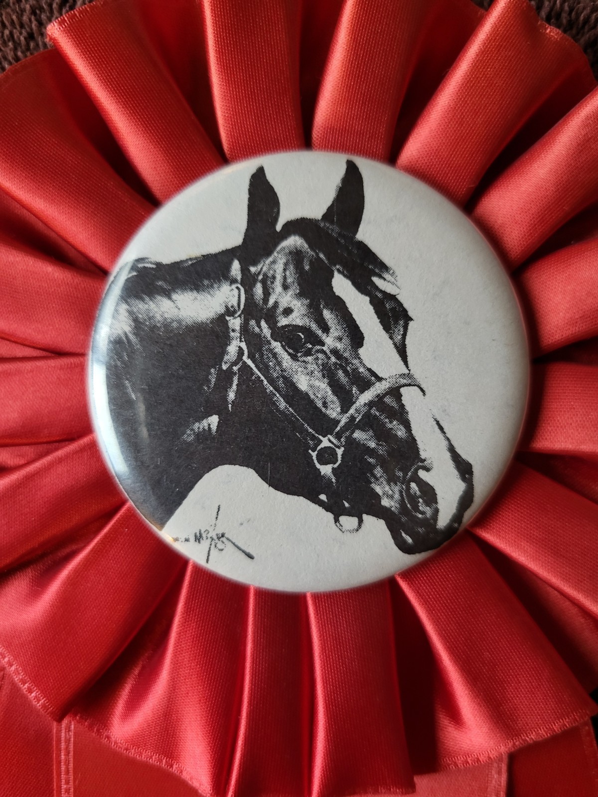 RICHLAND COUNTY Horse Show Ribbon Award Equestrian \