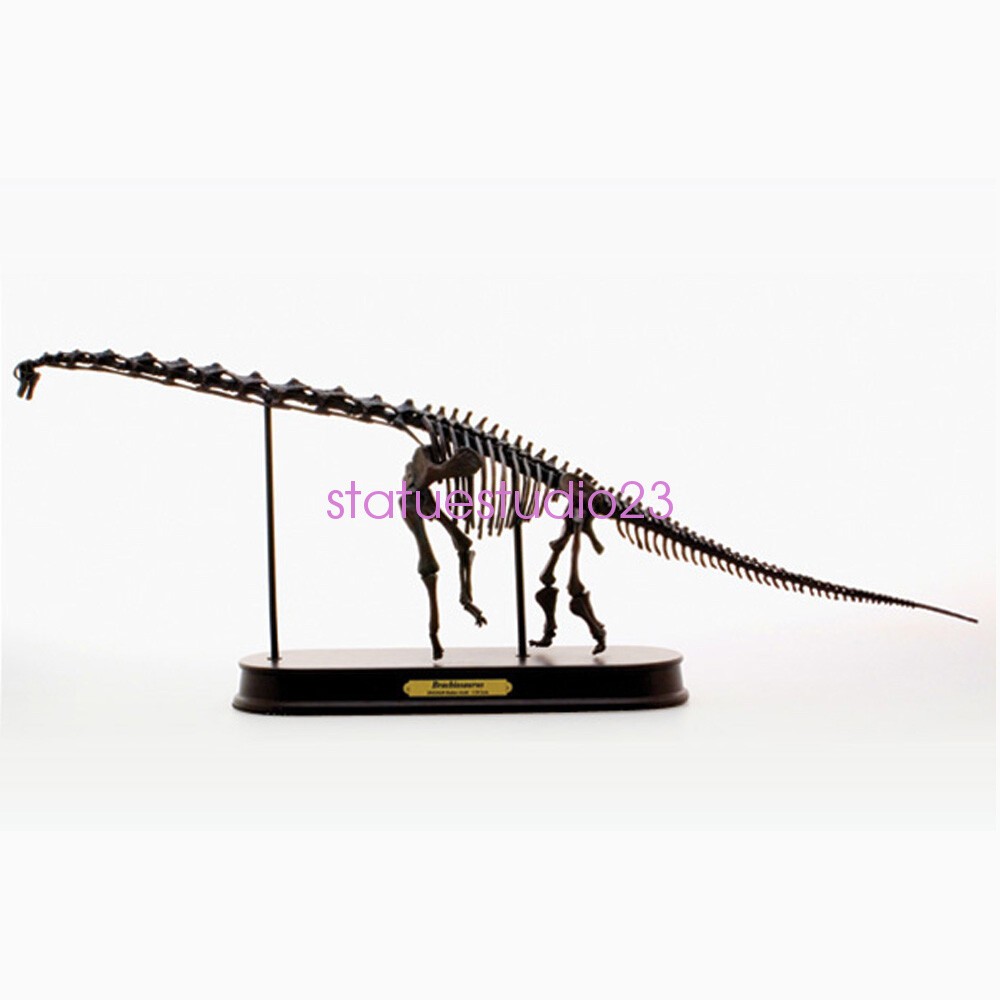 Brachiosaurus Dinosaur Skeleton Statue Collectible Model Display Special Color