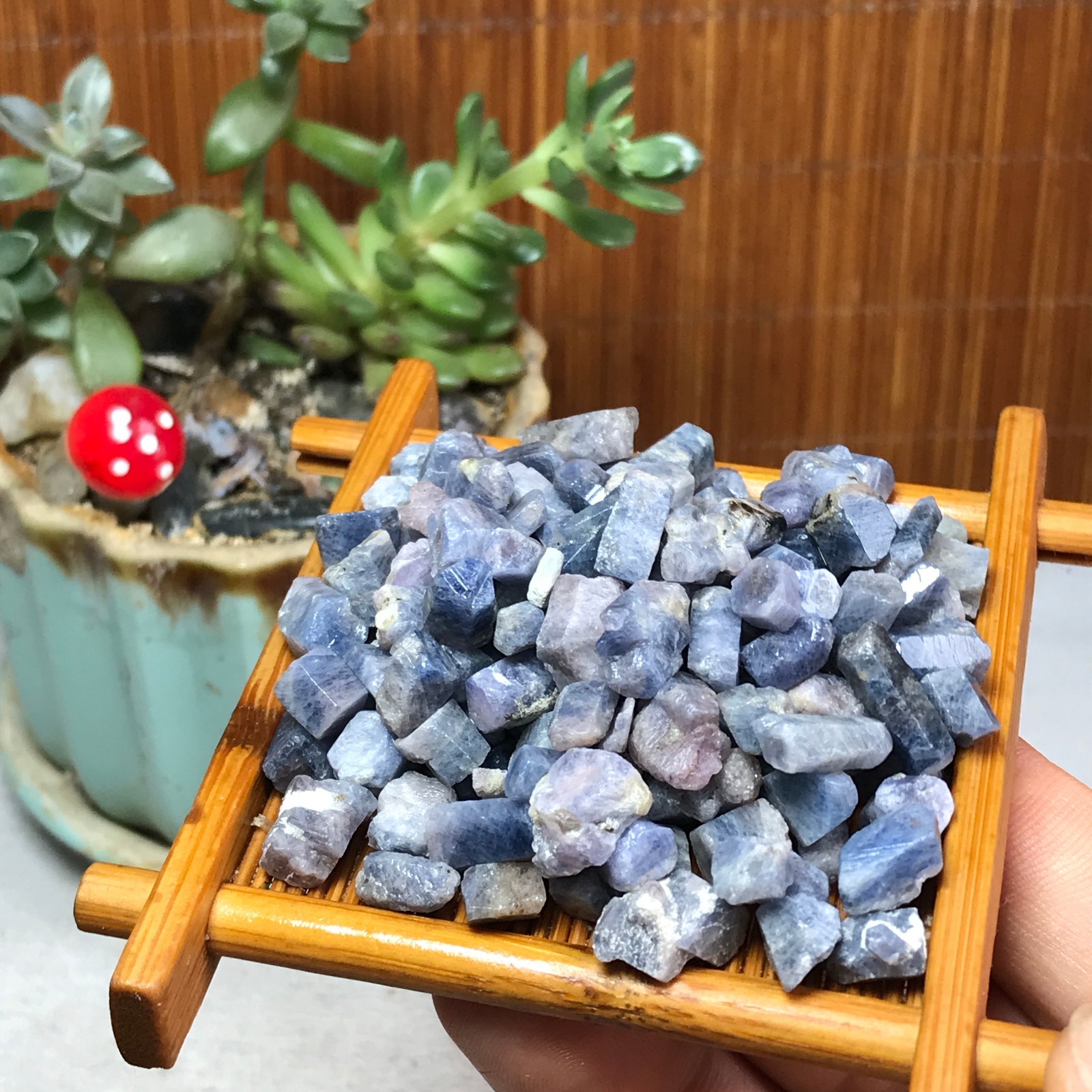40Pcs Natural Blue Corundum Ruby Crystal Rough original Mineral Specimens A7356