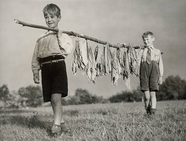 Enterprising evacuees Brian Ganer and Tom Pharo contribute t - 1941 Old Photo 1