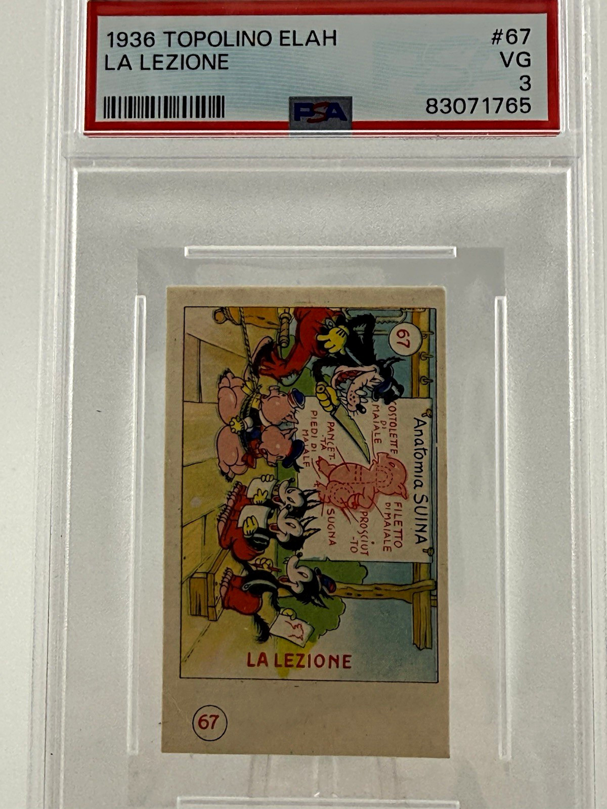Elah 1936 Topolino Disney Mickey Mouse La Lezione #67 PSA 3 Italian Card