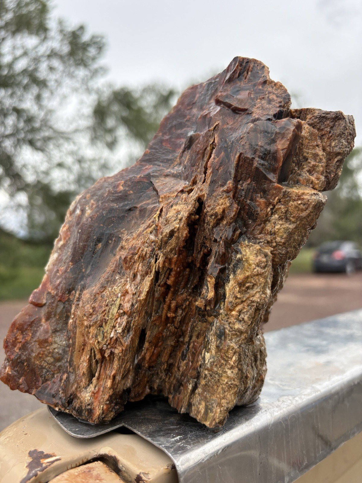 ☘️RR⛏️: Rough Display Piece Of Arizona Petrified Wood, 3.25 Lb 🌈 ☘️RR⛏️: Rough Display Piece Of Arizona Petrified Wood, 3.25 Lb 🌈