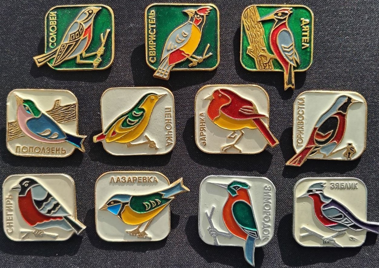 Complete Set 11 Vintage USSR Bird Pins Badges Soviet Enamel Birds Ornithology
