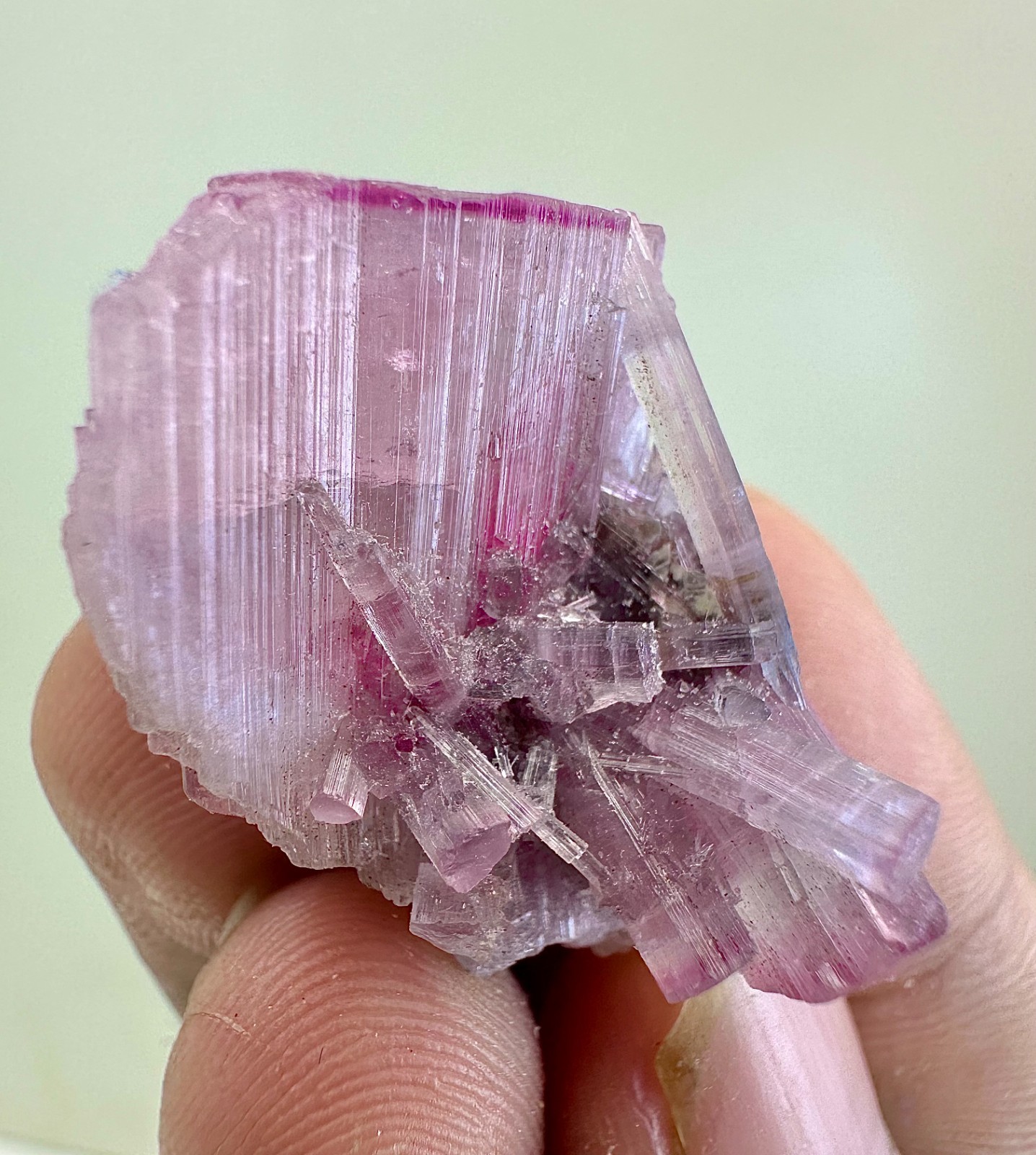 52 Carat  Incridible Rubellite  Crystal  From Afghanistan
