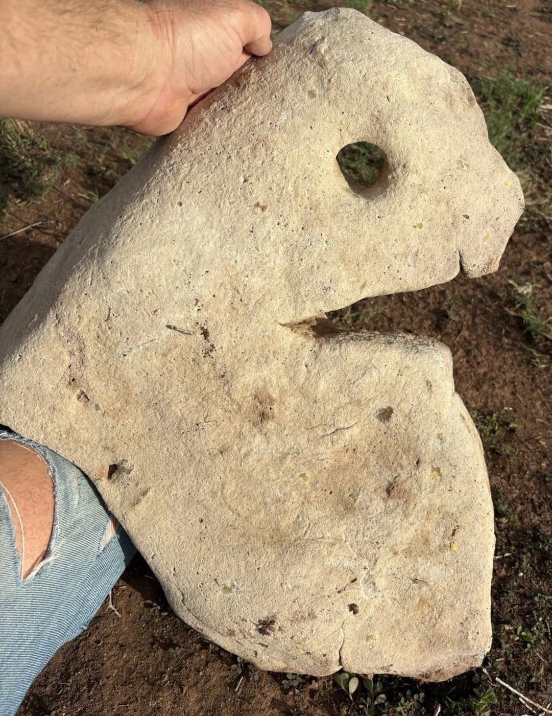 ☘️RR⛏️: The PAC MAN ROCK Limestone/Sandstone Anthropomorphic 49 Lb AZ. ☘️RR⛏️: The PAC MAN ROCK Limestone/Sandstone Anthropomorphic 49 Lb AZ.