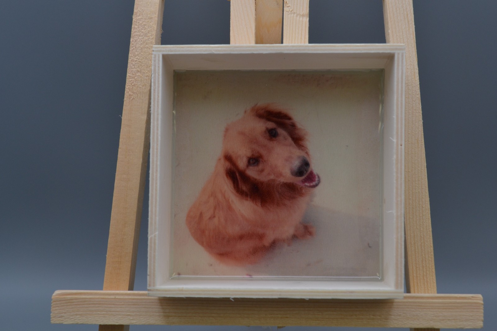Golden Retriever Dog Small Keepsake Box Wood Trinket Ring Dish Valet Puppy Gift