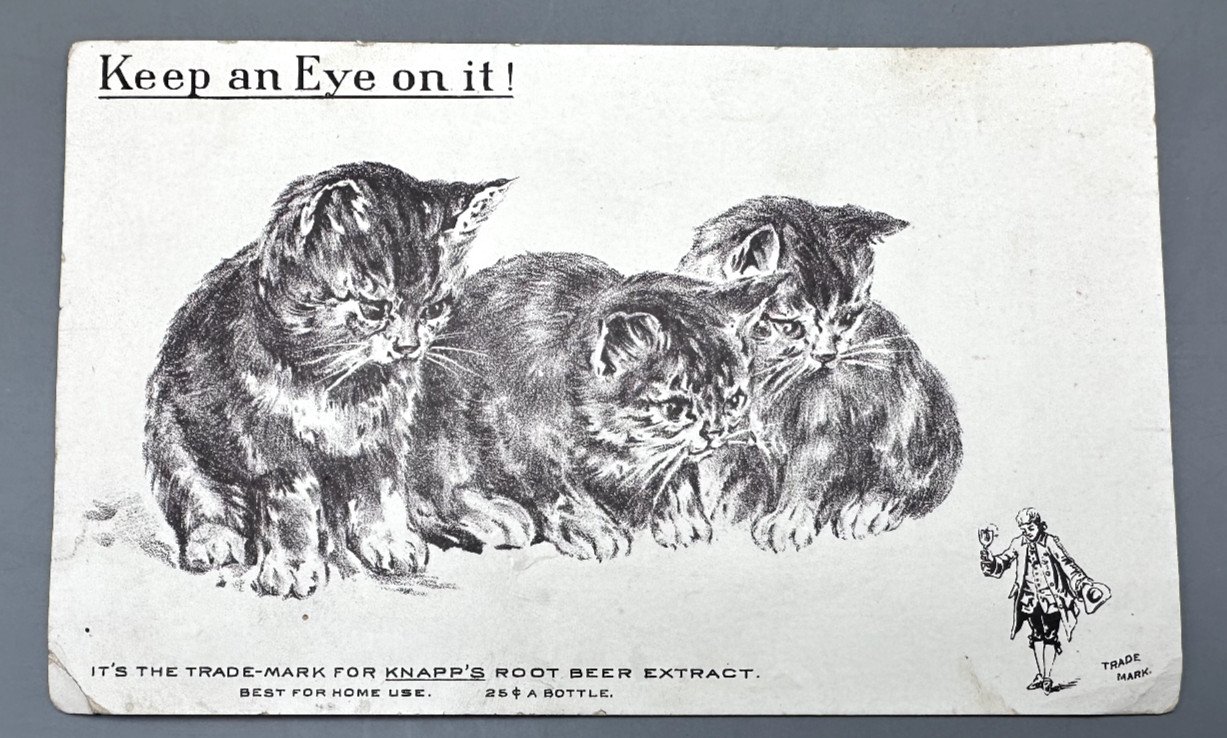KNAPP'S ROOT BEER EXTRACT VICTORIAN TRADE CARD WITH CATS, 