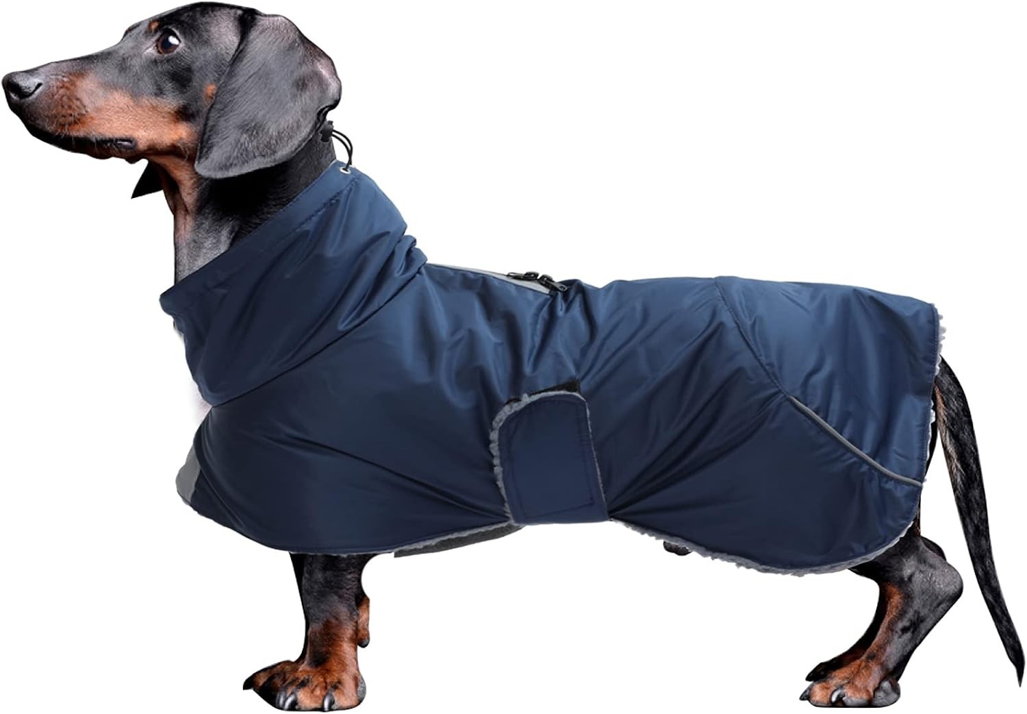 Dachshund Coats Waterproof, Perfect for Dachshunds, Sausage, Weiner Dog Winte