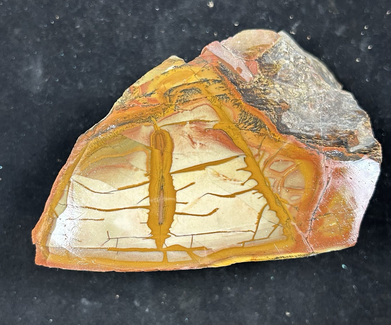 1010g Old Stock Owyhee Picture Jasper 1970’s Natural Rough Specimen Jewelry 