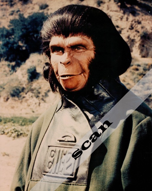 PLANET OF THE APES - Original Movies 8X10 PHOTO #A457