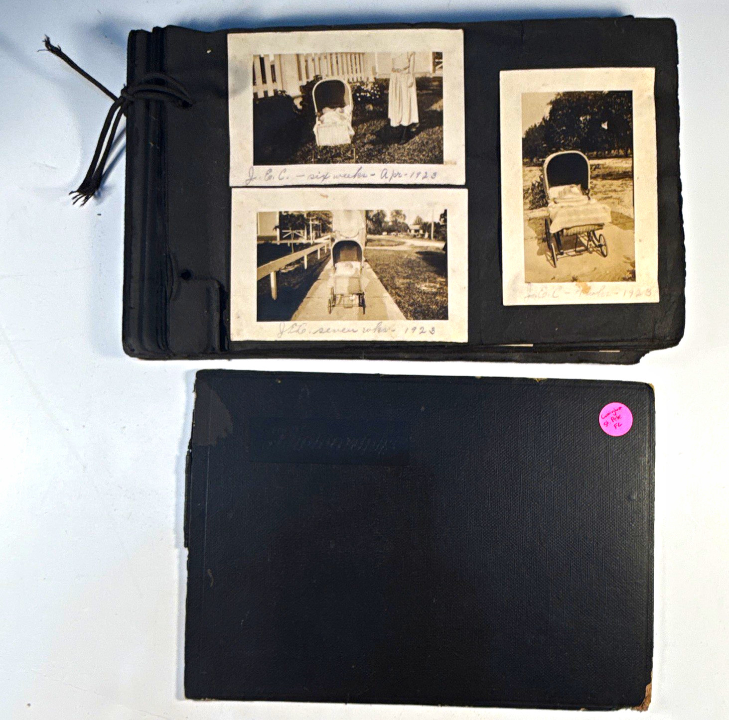 1920s St Petersburg Florida Photo Album 100+ Photos Cunningham Family webbs old