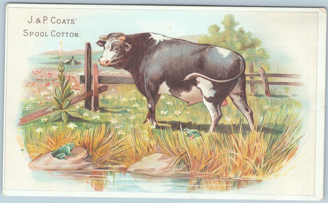 J. & P. COATS THREAD Victorian Trade Card Tells Old Fable of Frogs & the Bull