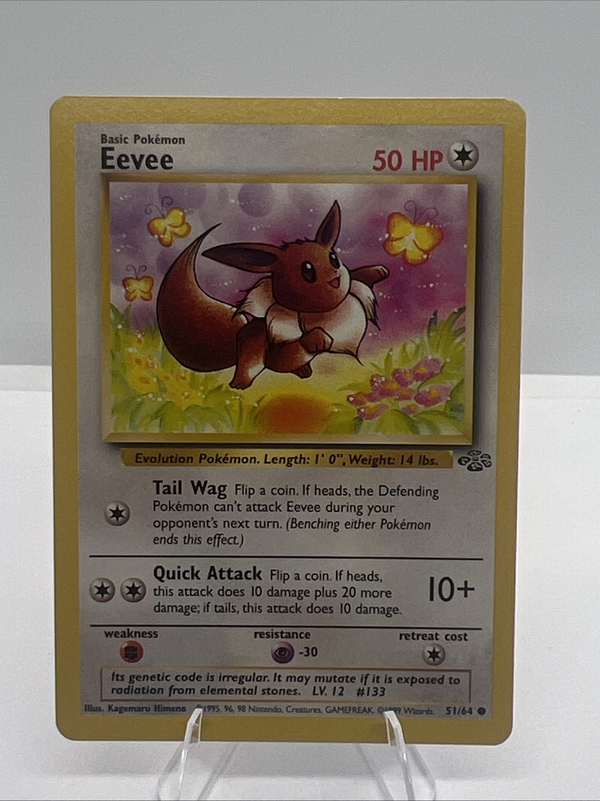 Eevee Jungle Set Lot of 5 TCG Pokémon Card 1999 Vintage NM 51/64