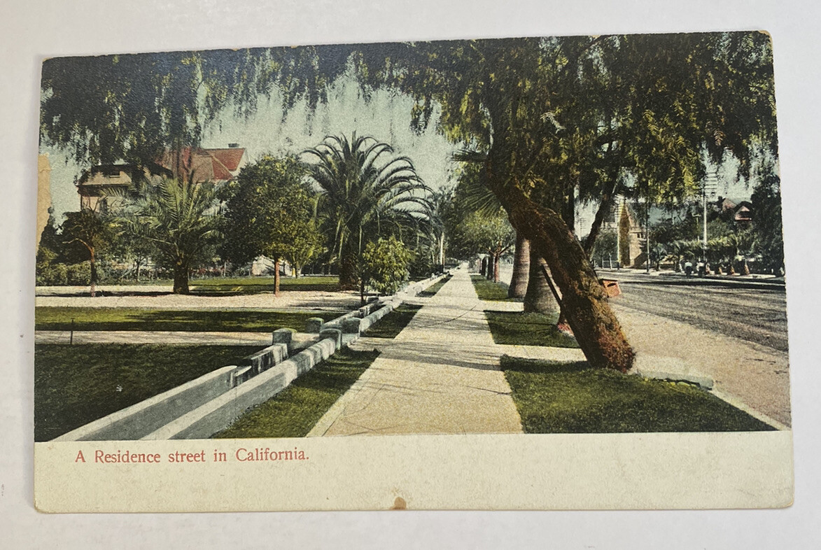 Vintage UDB Postcard ~ A Residence Street in California CA